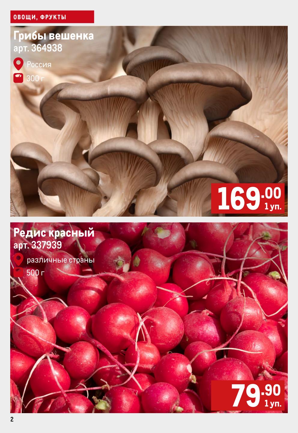 Грибы вешенки 169р, Редис 79.90р | Овощи в METRO 16-22.10